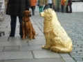 Tiere