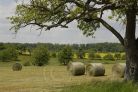 Landschaft